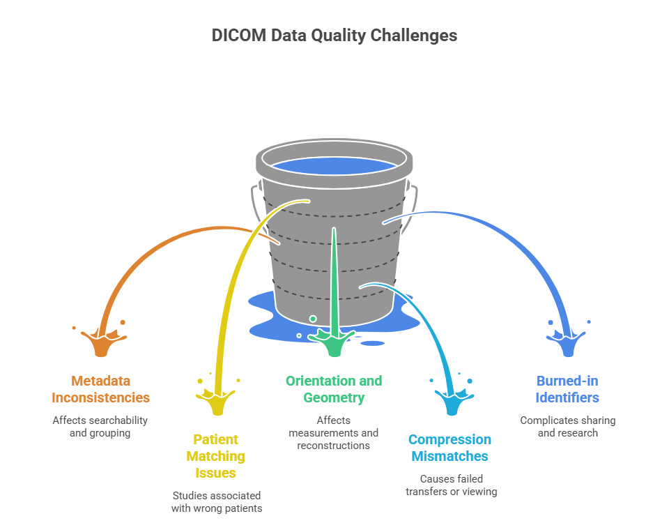 DICOM Standard for Medical Imaging: The Backbone of Modern Radiology